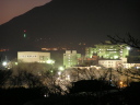 帝京科学大学