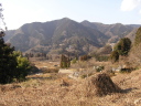 甲州街道野田尻宿