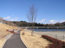 桂川 島田湖