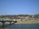桂川 島田湖