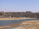 桂川 島田湖