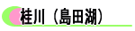 桂川(島田)