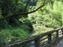 境沢橋から上流