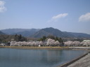 大野貯水池の桜