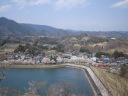 大野貯水池の桜