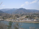 大野貯水池の桜
