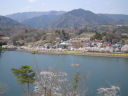 大野貯水池の桜