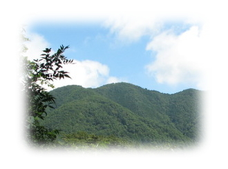 権現山
